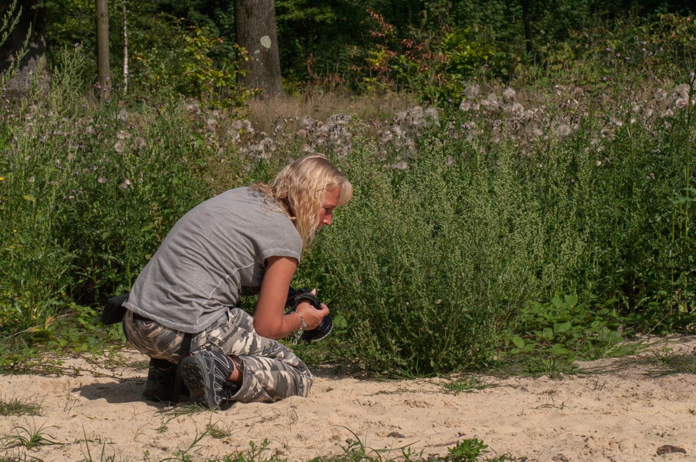 2017-08-23 - NSG Resser Wald und Emscherbruch