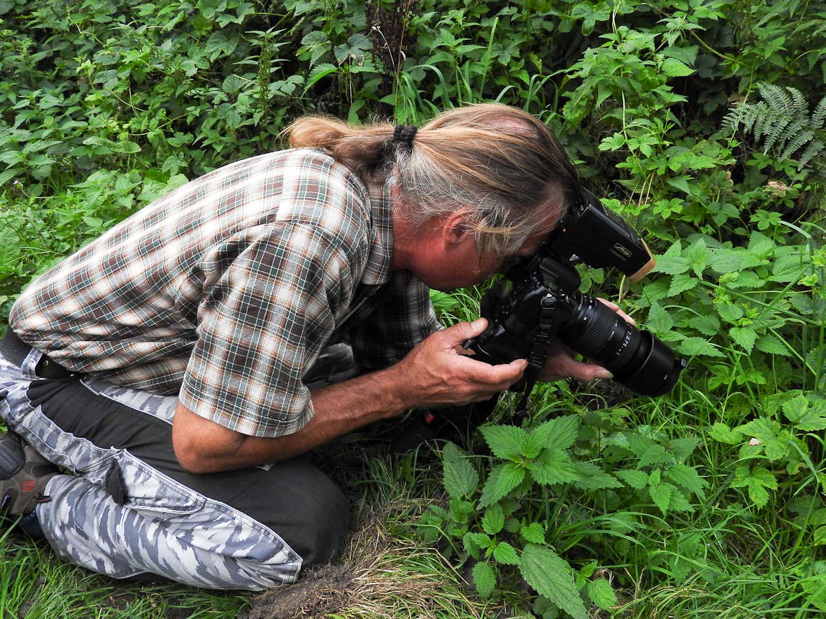2017-08-24 - NSG Resser Wald und Emscherbruch