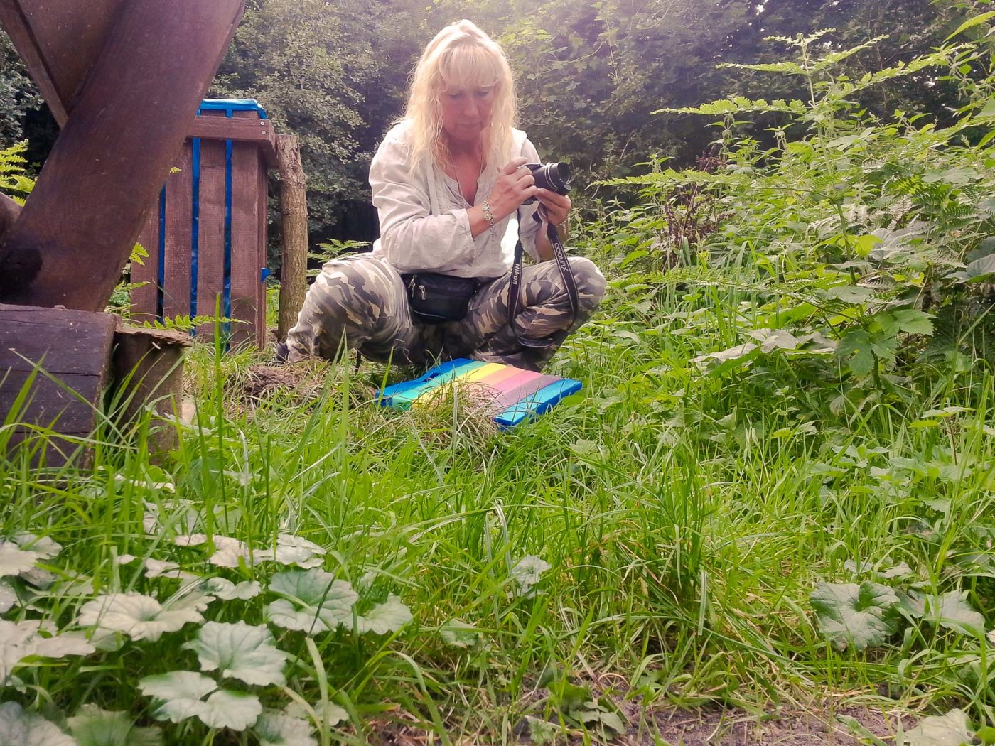 2017-08-24 - NSG Resser Wald und Emscherbruch