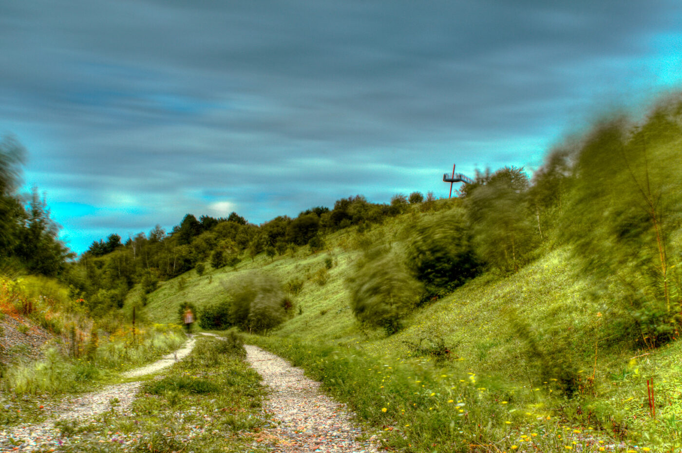 2017-09-06 - NSG Halde Pluto-Wilhelm HER-Wanne