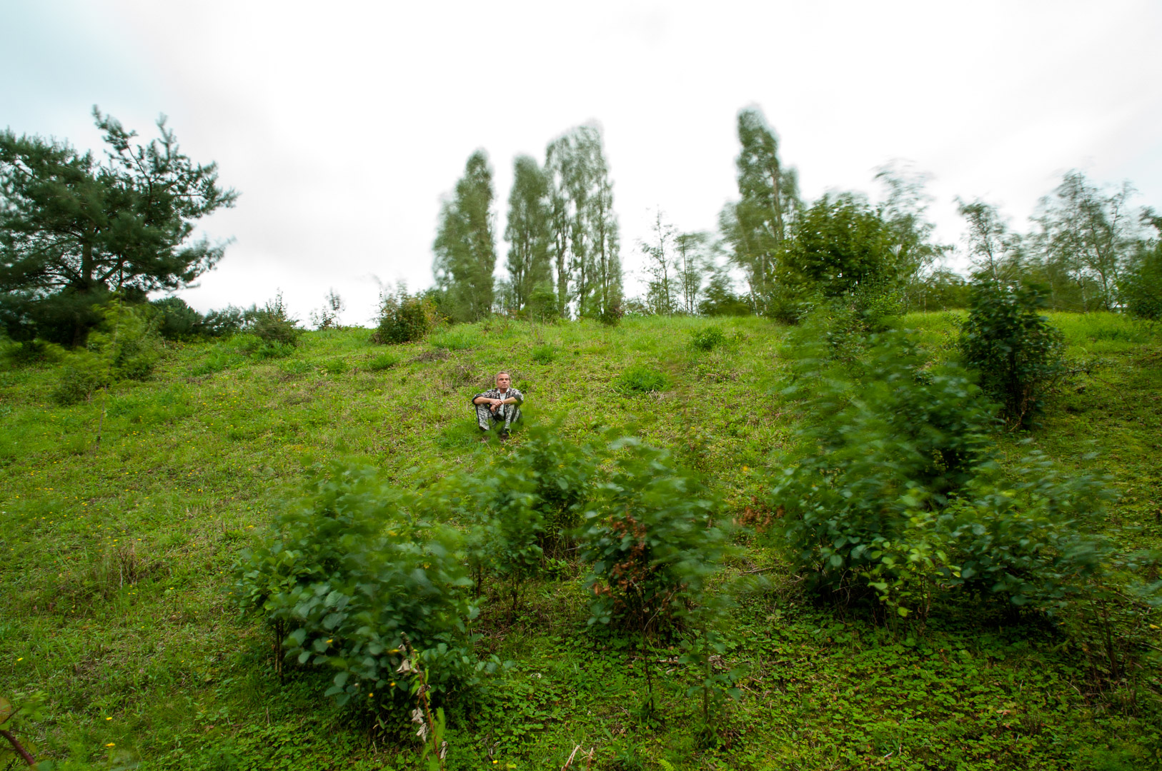 2017-09-06 - NSG Halde Pluto-Wilhelm HER-Wanne