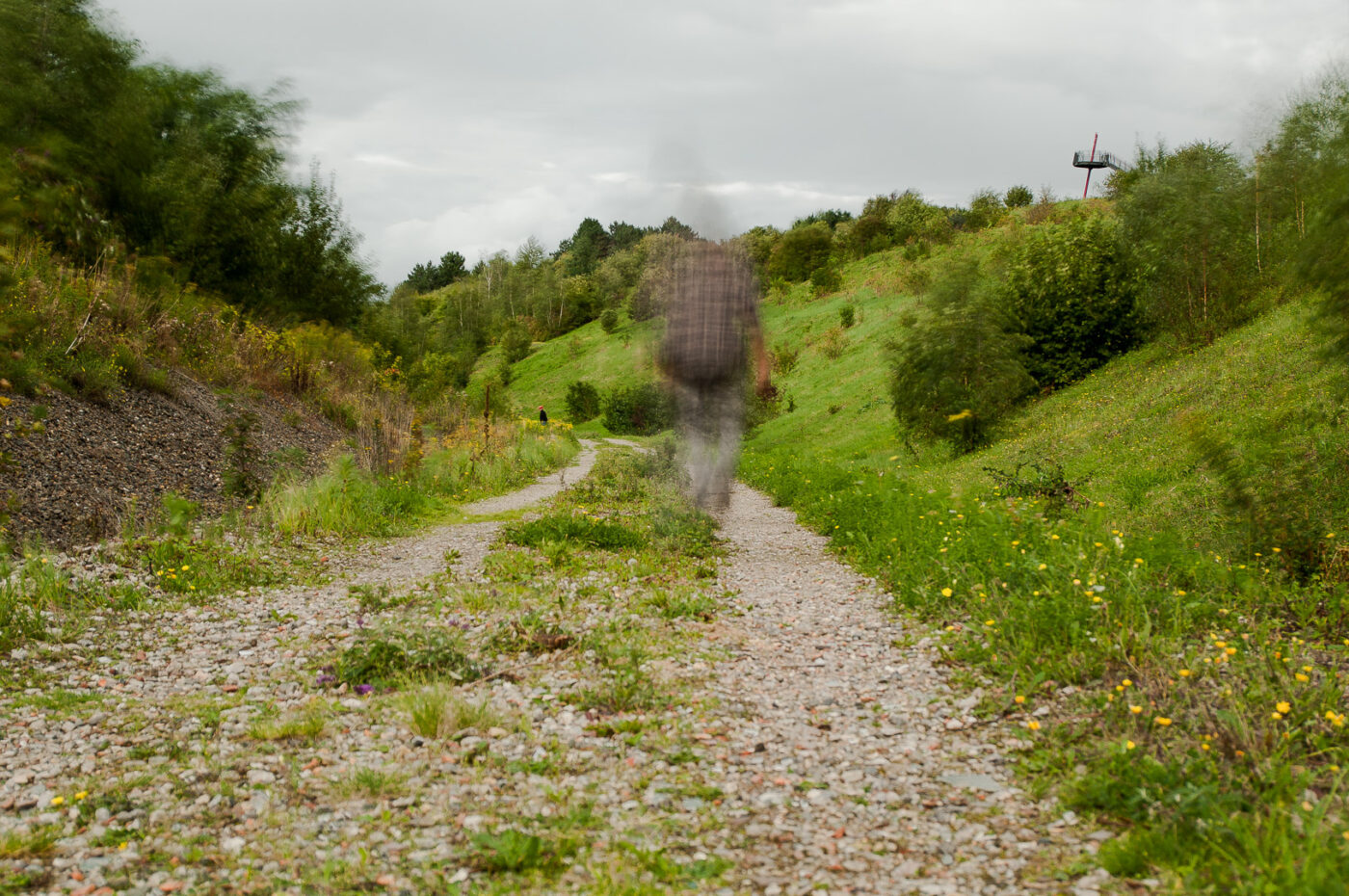 2017-09-06 - NSG Halde Pluto-Wilhelm HER-Wanne