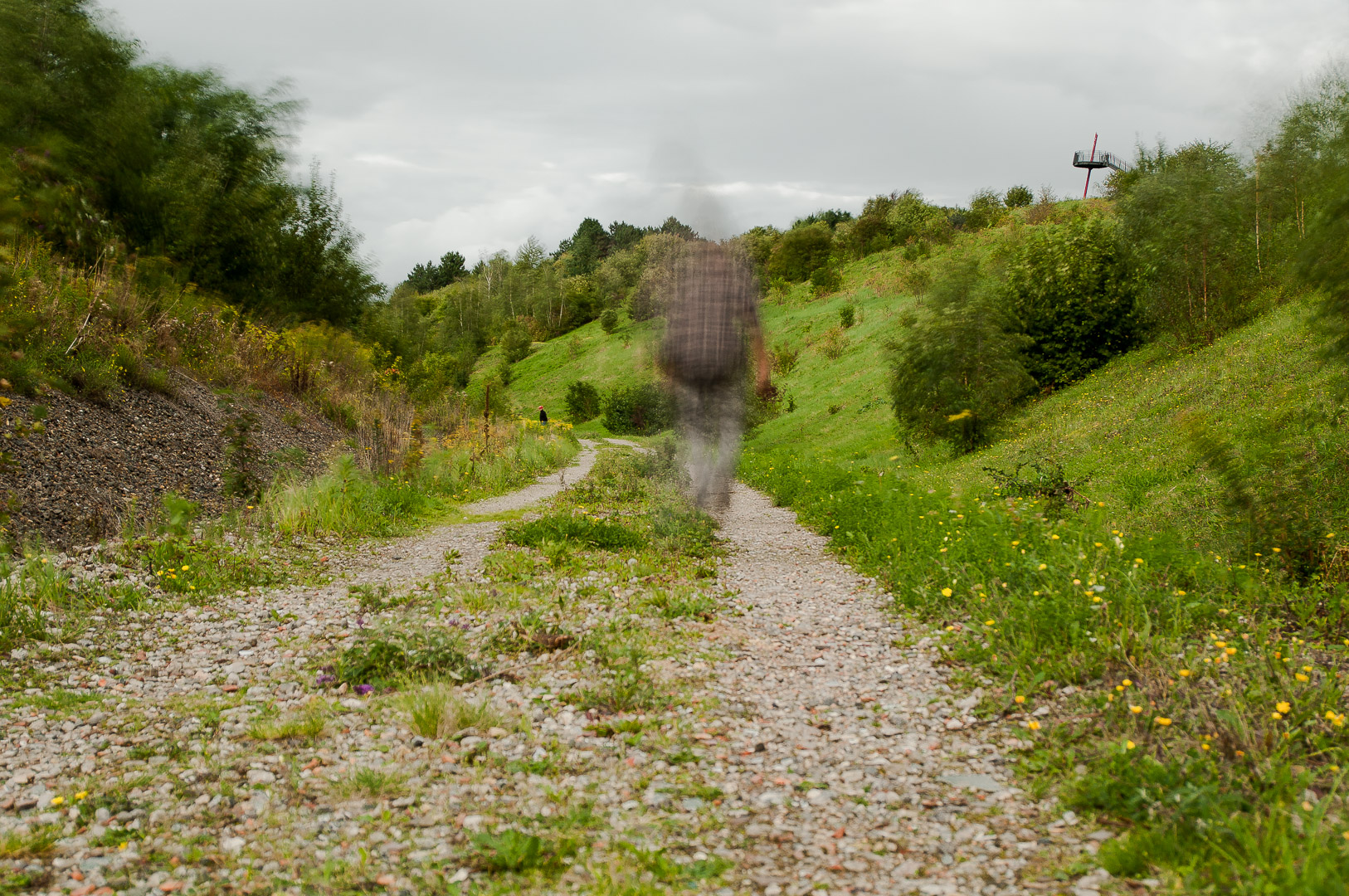 2017-09-06 - NSG Halde Pluto-Wilhelm HER-Wanne