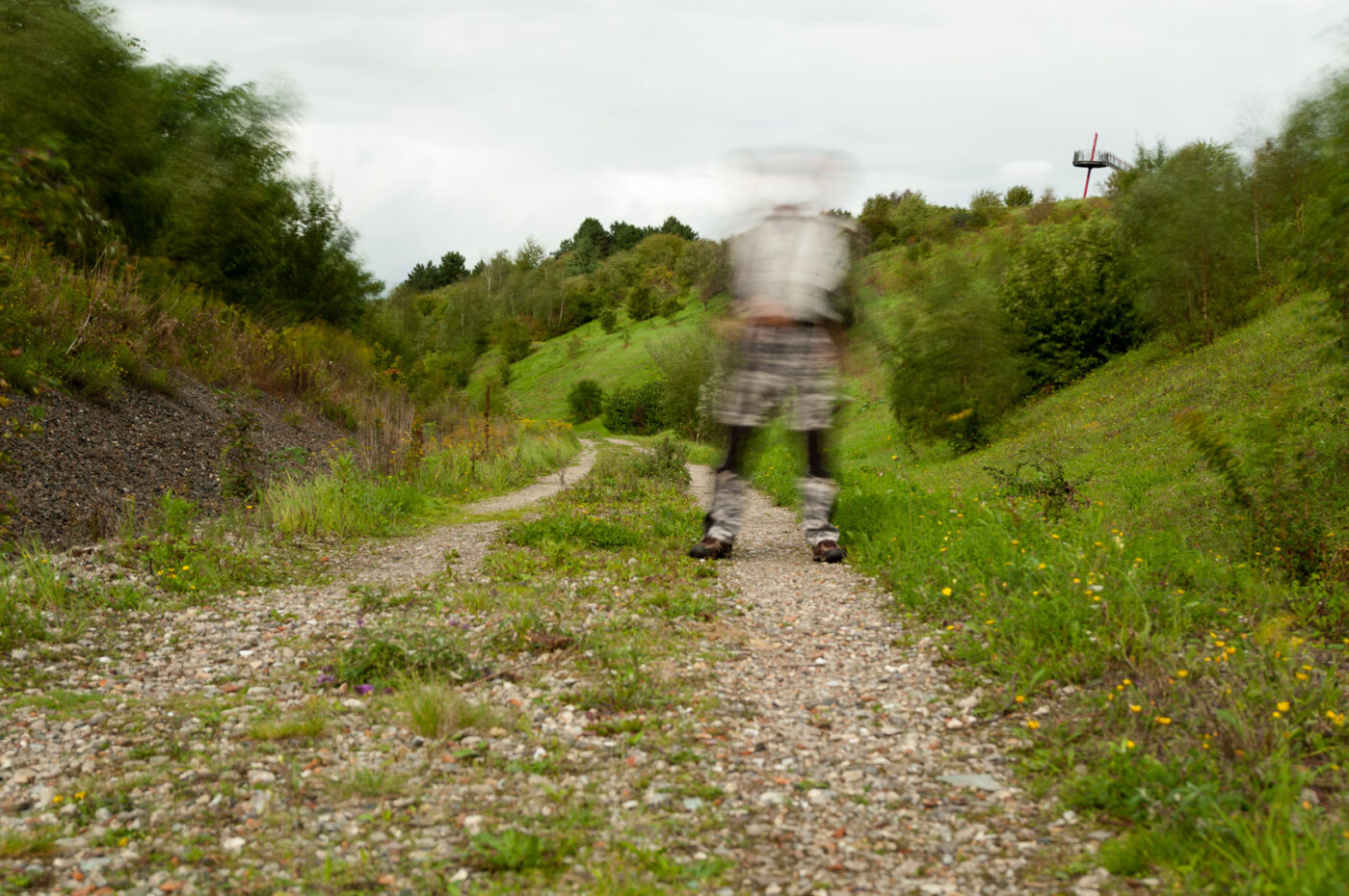 2017-09-06 - NSG Halde Pluto-Wilhelm HER-Wanne