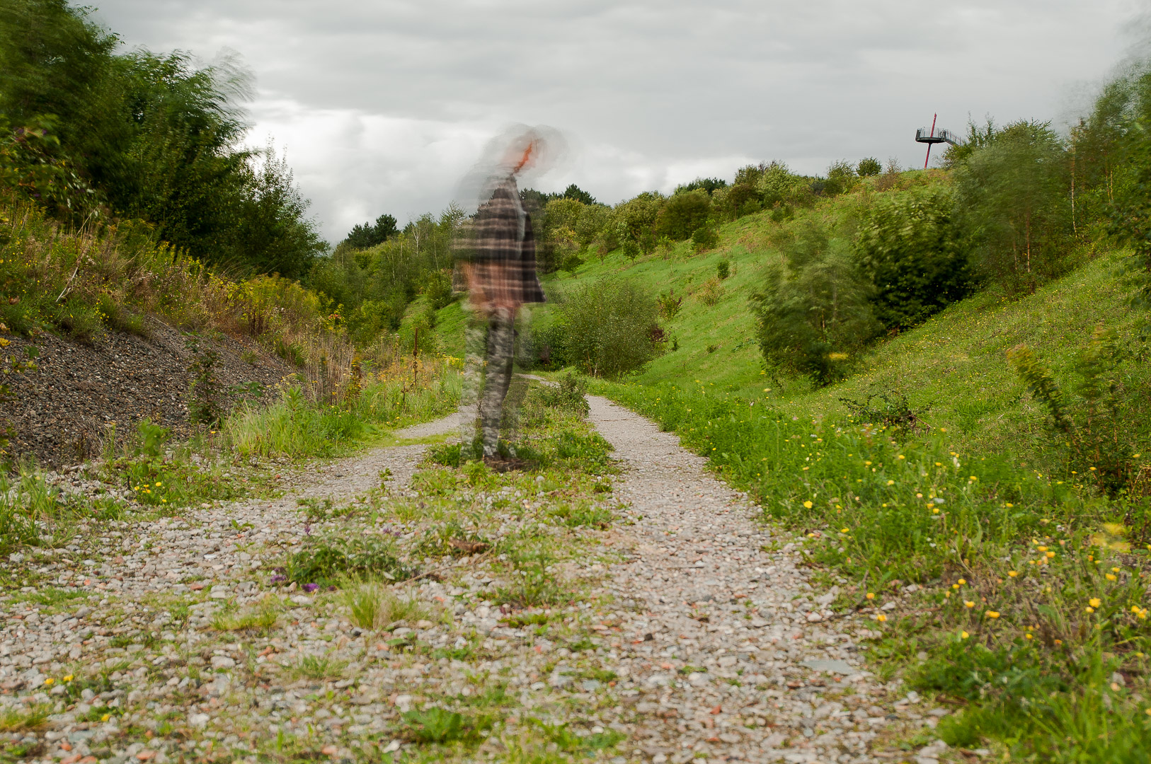 2017-09-06 - NSG Halde Pluto-Wilhelm HER-Wanne