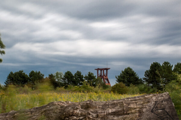 2017-09-06 - NSG Halde Pluto-Wilhelm HER-Wanne