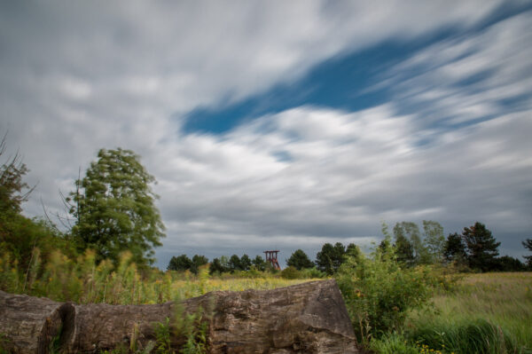 2017-09-06 - NSG Halde Pluto-Wilhelm HER-Wanne