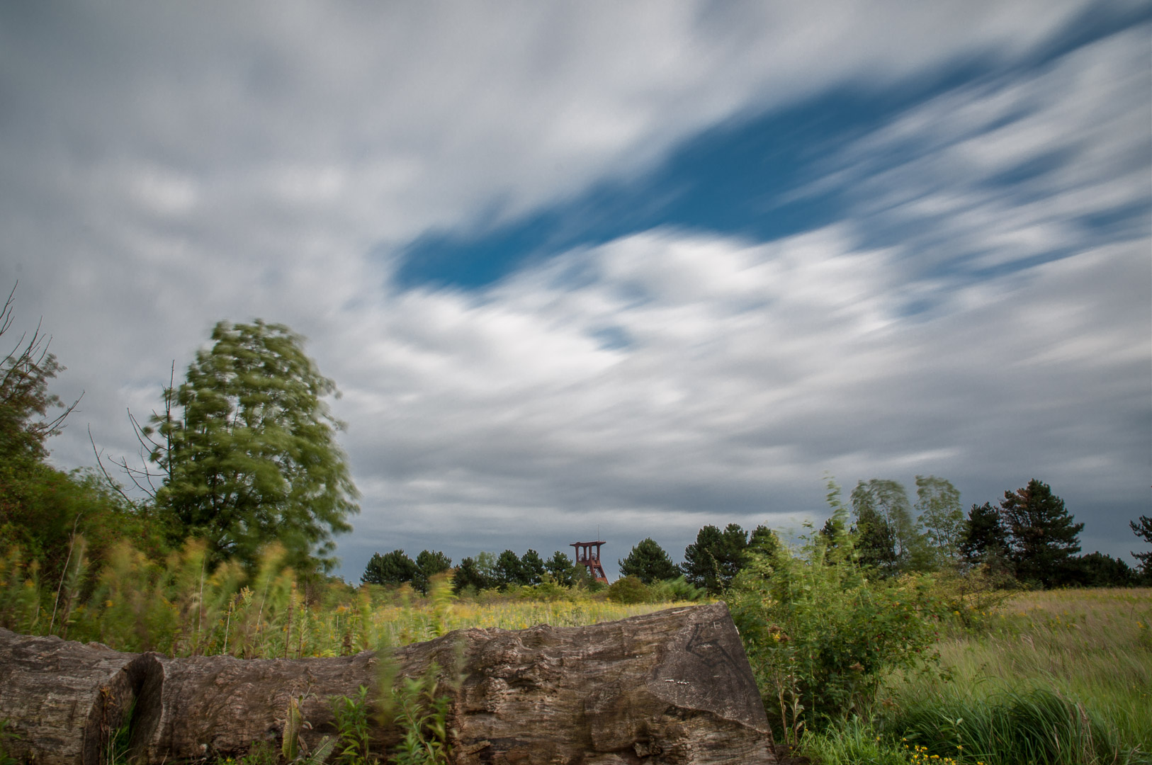 2017-09-06 - NSG Halde Pluto-Wilhelm HER-Wanne