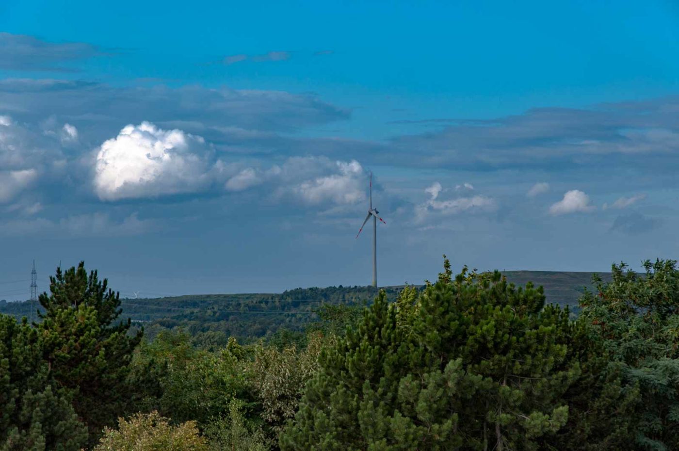 2017-09-06 - NSG Halde Pluto-Wilhelm HER-Wanne