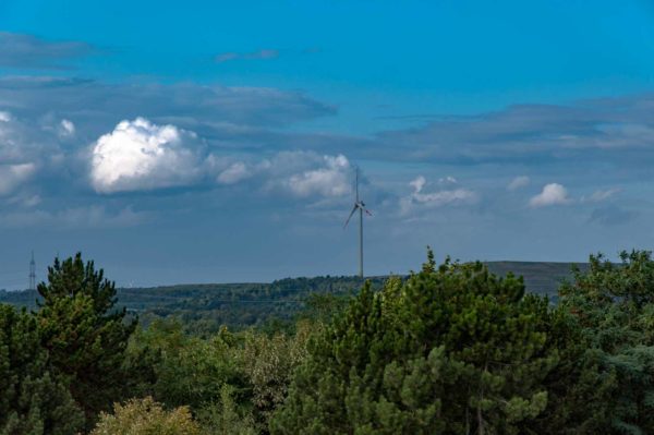 2017-09-06 - NSG Halde Pluto-Wilhelm HER-Wanne