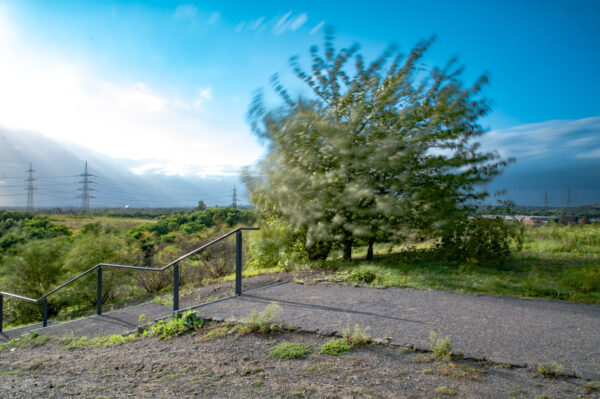 2017-09-06 - NSG Halde Pluto-Wilhelm HER-Wanne