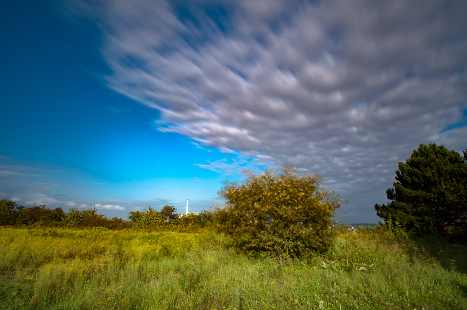 2017-09-06 - NSG Halde Pluto-Wilhelm HER-Wanne