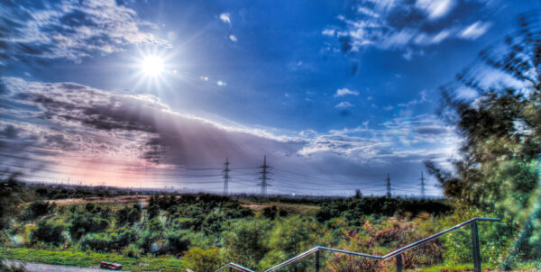 2017-09-06 - NSG Halde Pluto-Wilhelm HER-Wanne