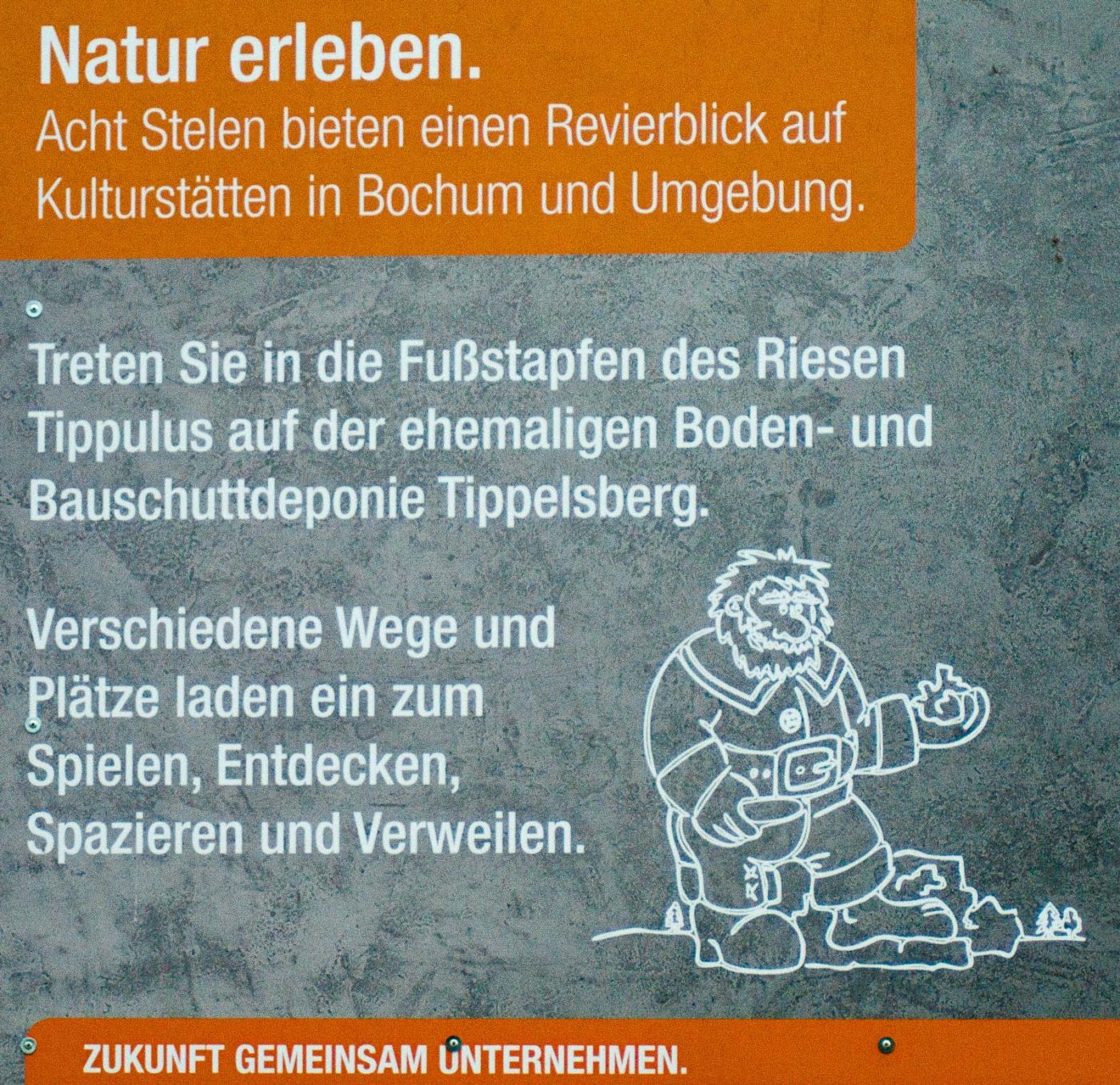 2017-09-22 - NSG Tippelsberg Bochum