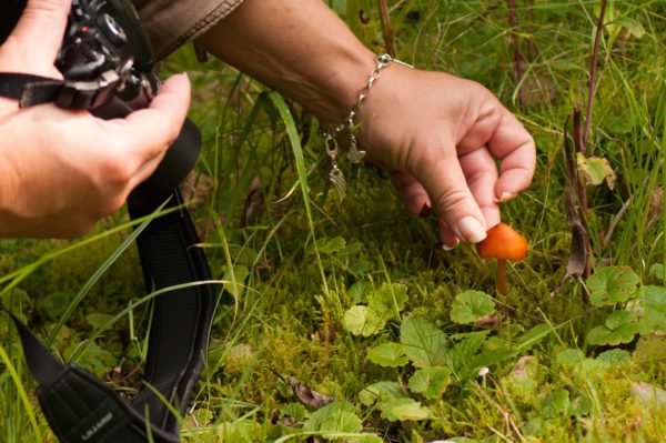 2017-09-24 - NSG Storchengraben Herne