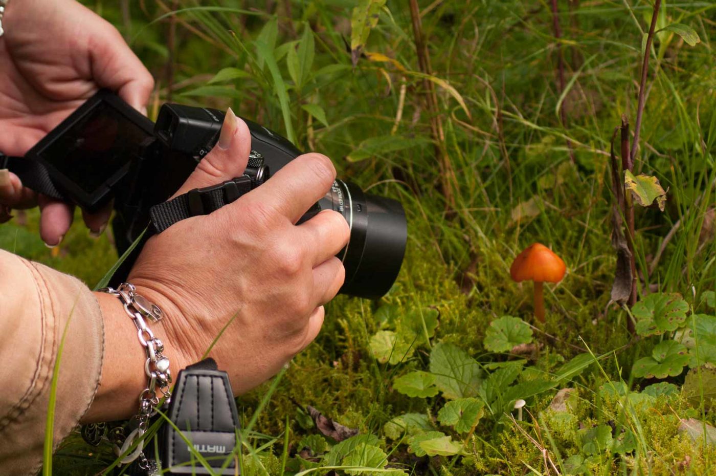 2017-09-24 - NSG Storchengraben Herne