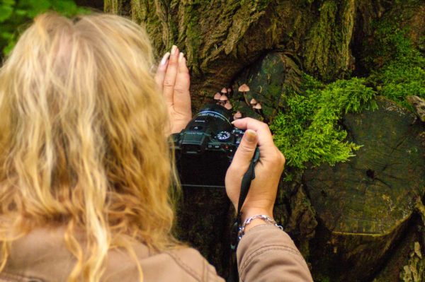 2017-09-24 - NSG Storchengraben Herne