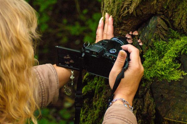 2017-09-24 - NSG Storchengraben Herne