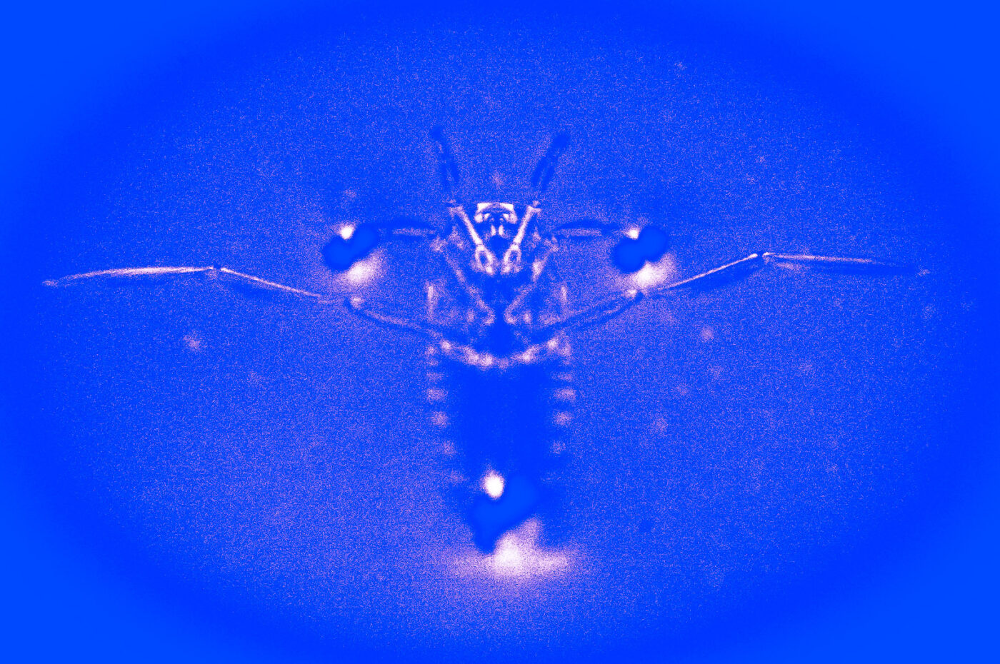 2017-09-24 - NSG Storchengraben Herne