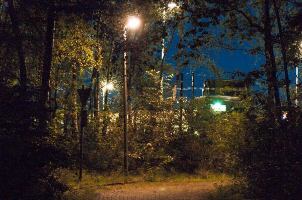 2017-09-24 - NSG Storchengraben Herne