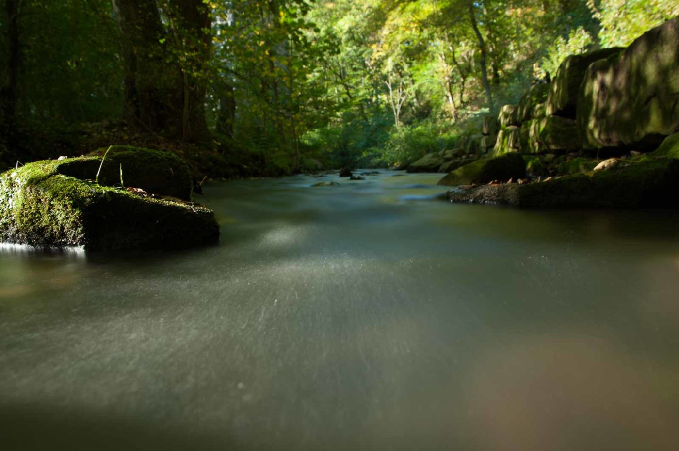 2017-10-15 - NSG Elbschebach Witten