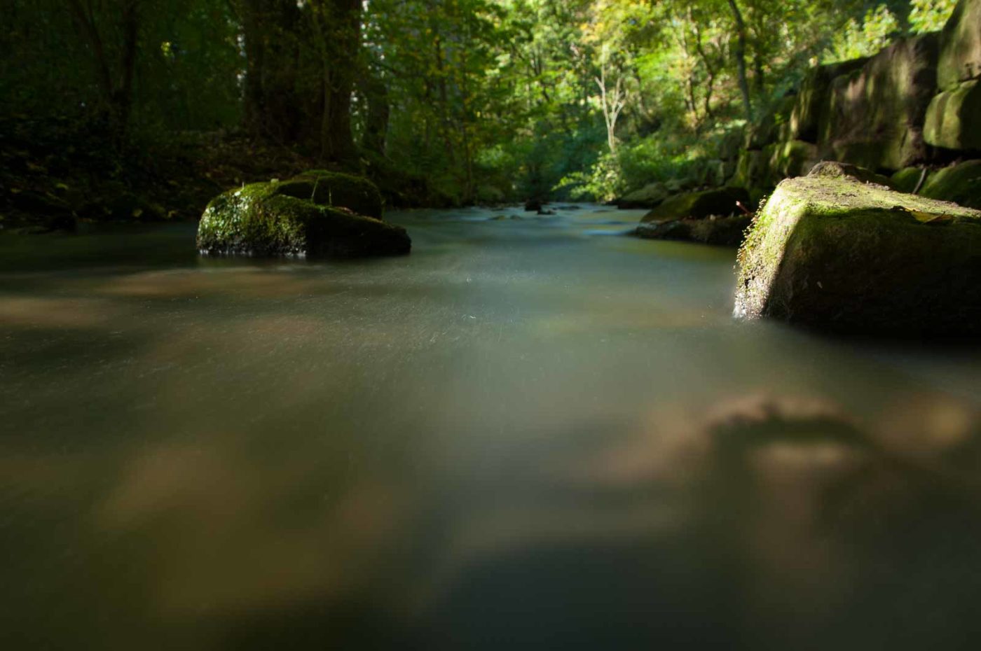 2017-10-15 - NSG Elbschebach Witten