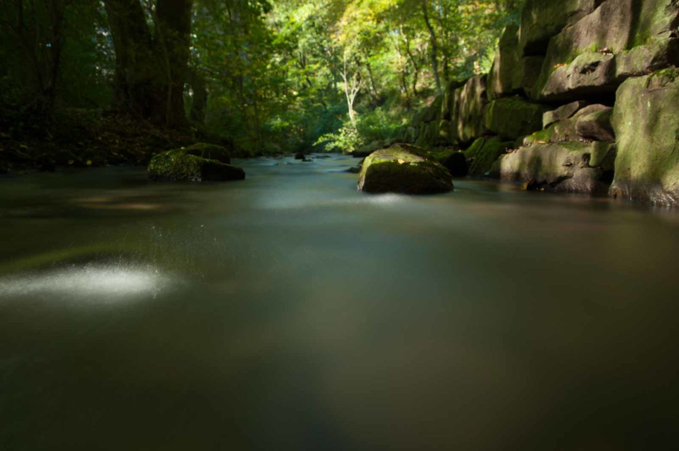 2017-10-15 - NSG Elbschebach Witten