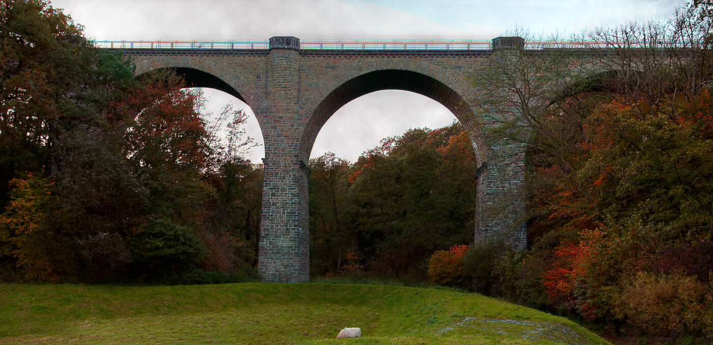 2017-10-15 - NSG Elbschebach Witten