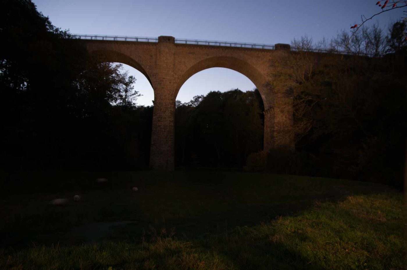 2017-10-15 - NSG Elbschebach Witten