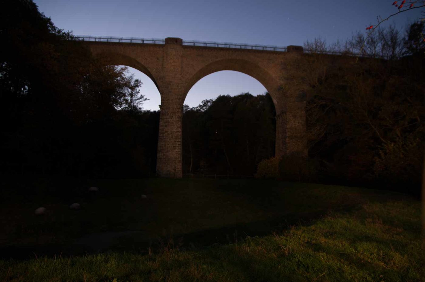 2017-10-15 - NSG Elbschebach Witten