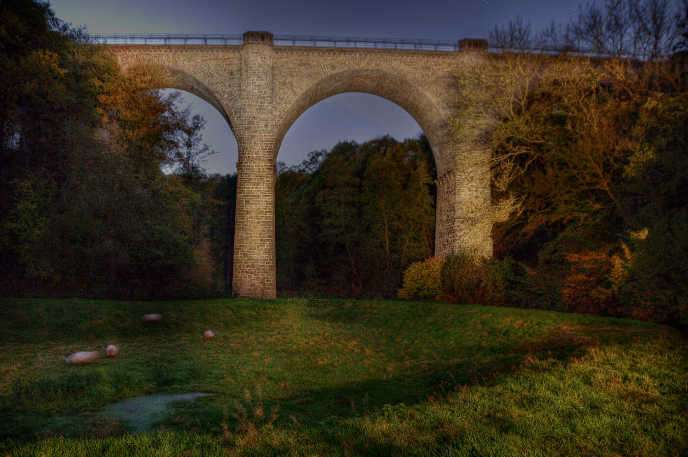 2017-10-15 - NSG Elbschebach Witten