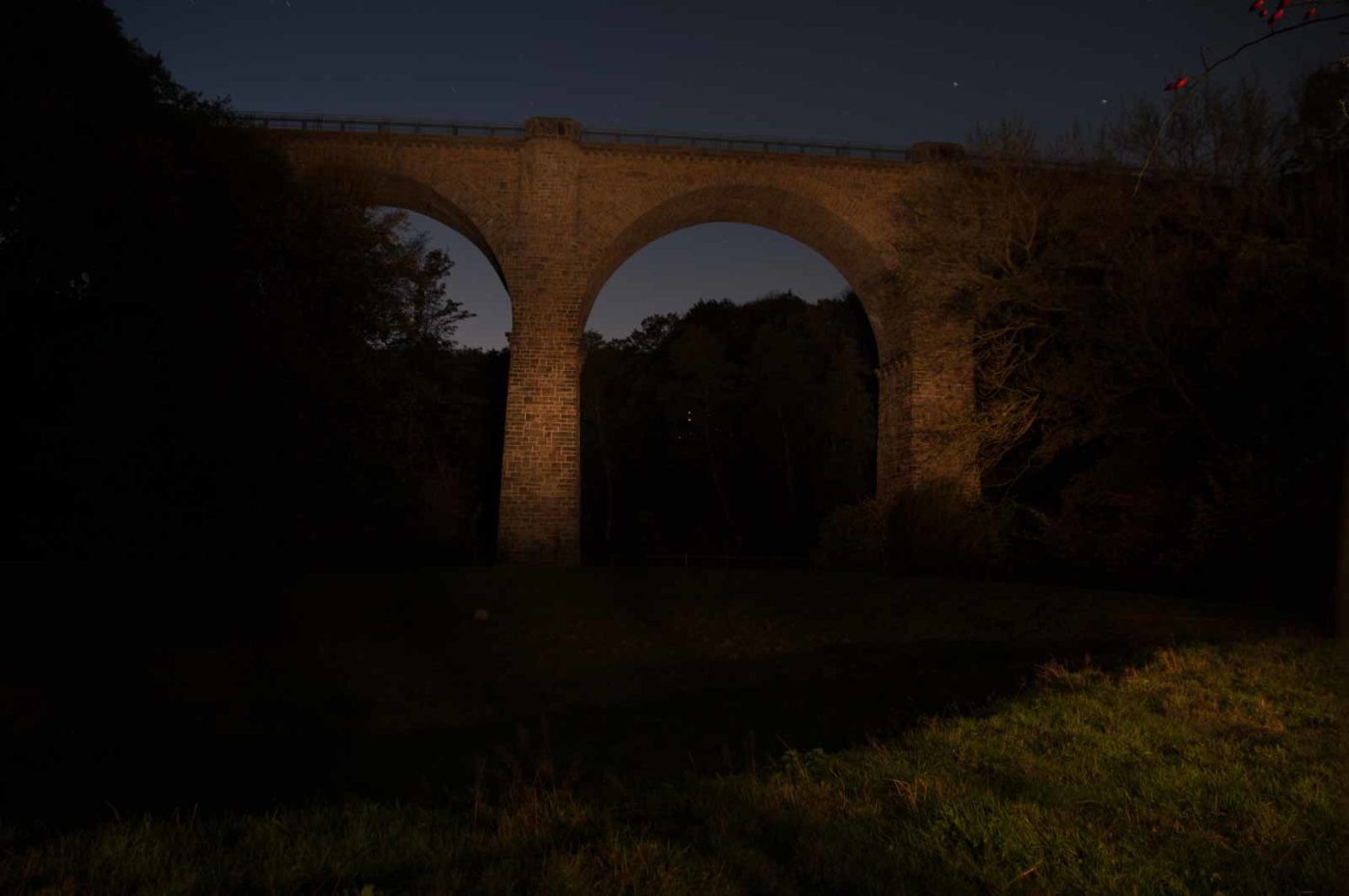 2017-10-15 - NSG Elbschebach Witten