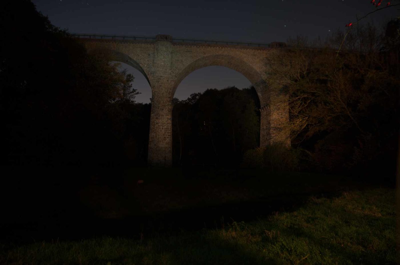 2017-10-15 - NSG Elbschebach Witten