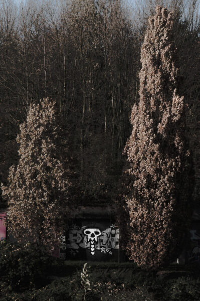 2017-11-22 - Nordsternpark Gelsenkirchen