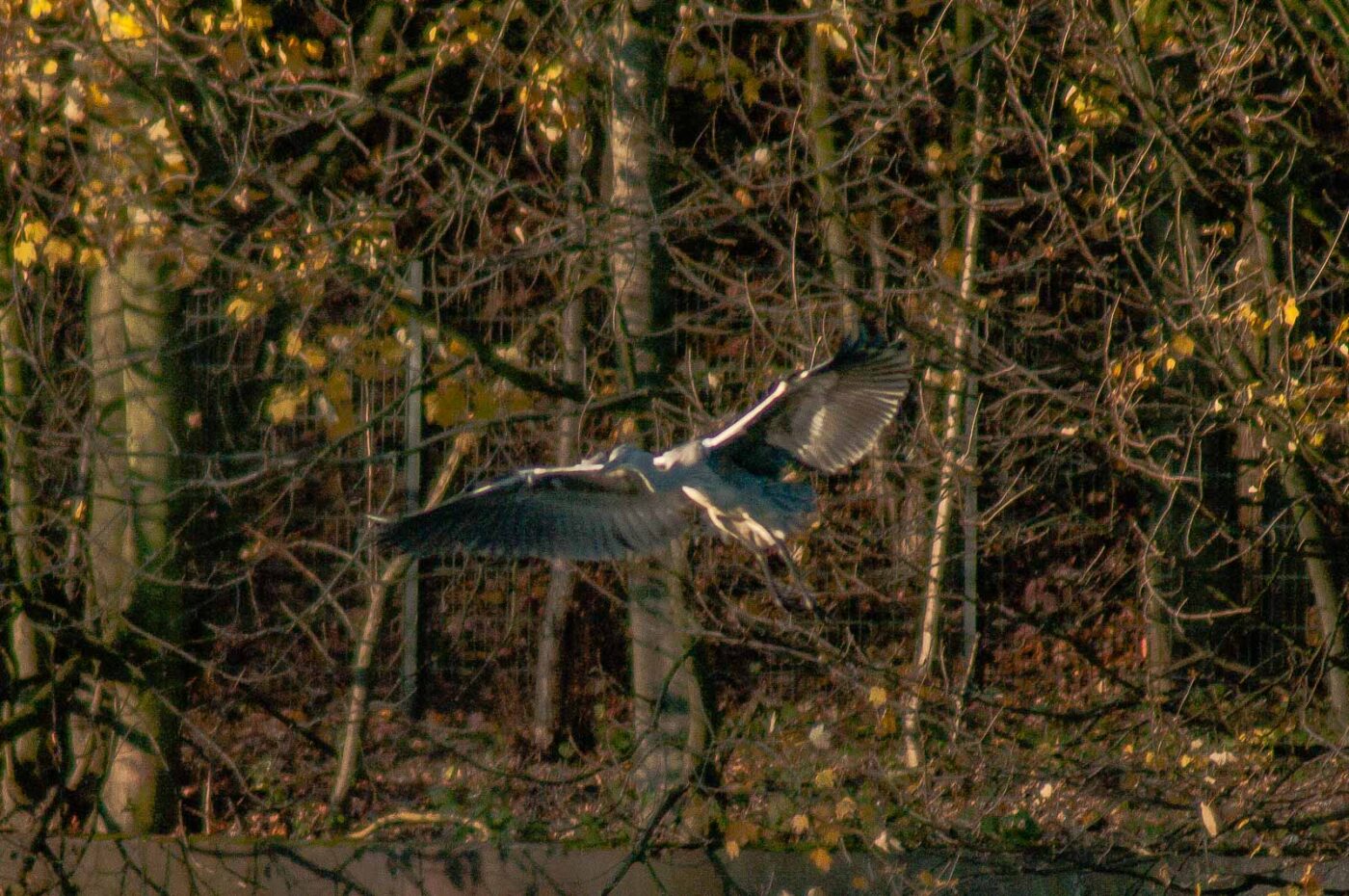 2017-11-22 - Nordsternpark Gelsenkirchen