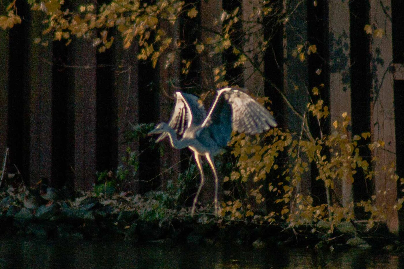 2017-11-22 - Nordsternpark Gelsenkirchen