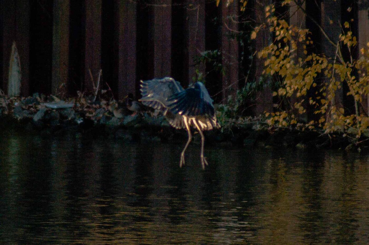 2017-11-22 - Nordsternpark Gelsenkirchen