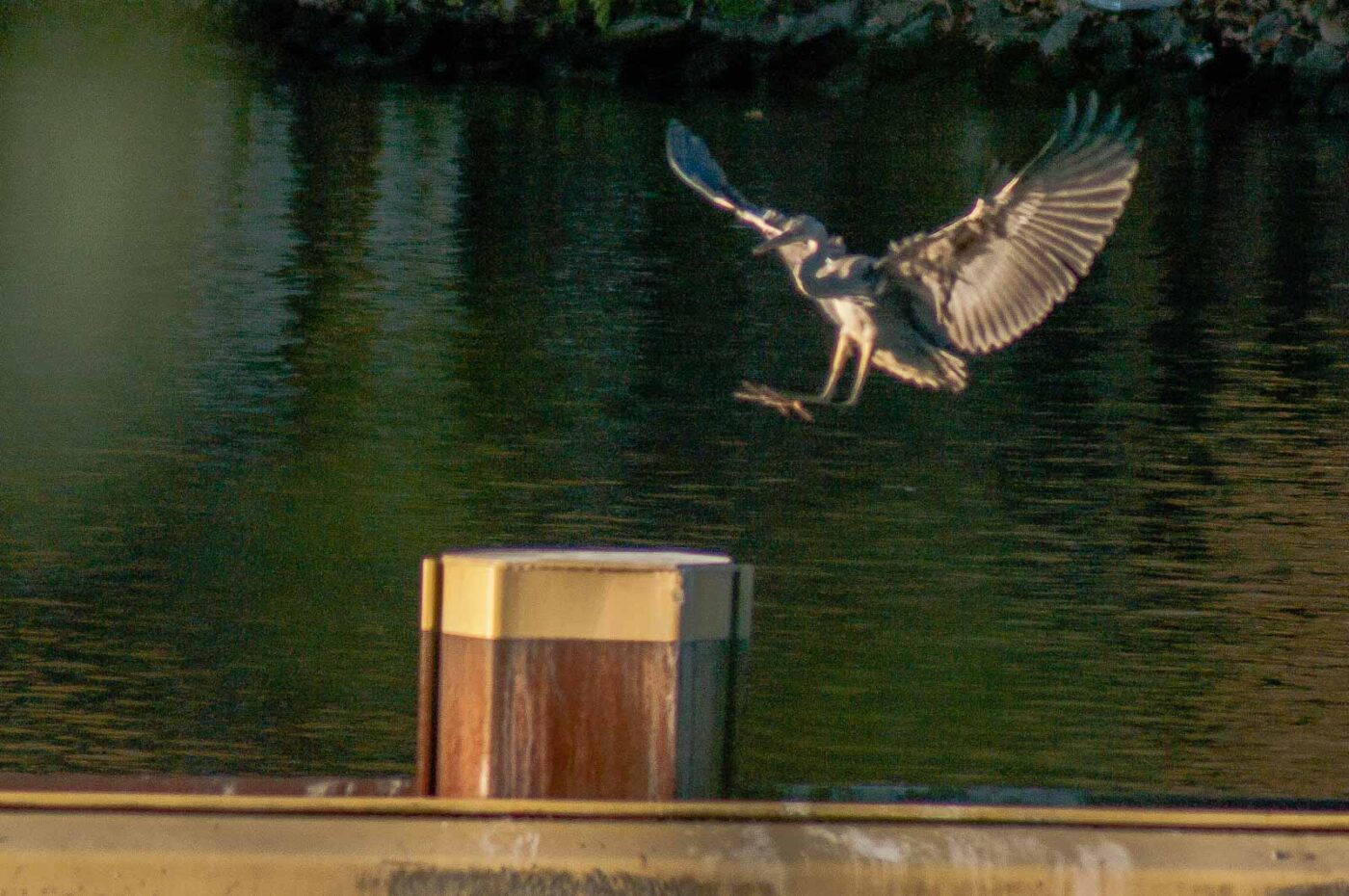 2017-11-22 - Nordsternpark Gelsenkirchen