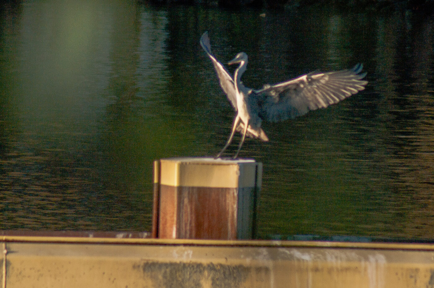 2017-11-22 - Nordsternpark Gelsenkirchen