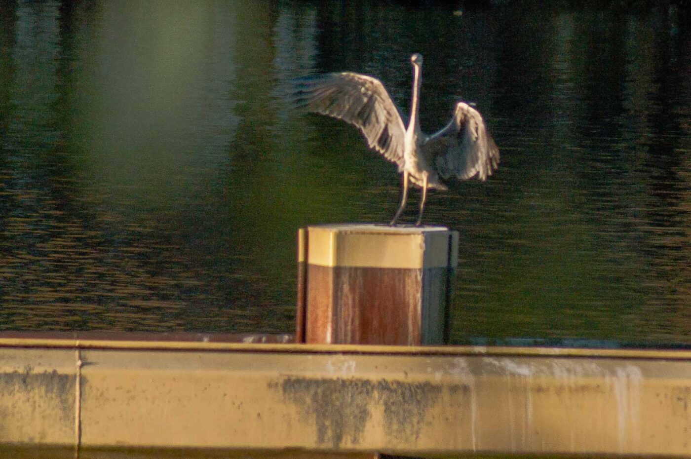 2017-11-22 - Nordsternpark Gelsenkirchen