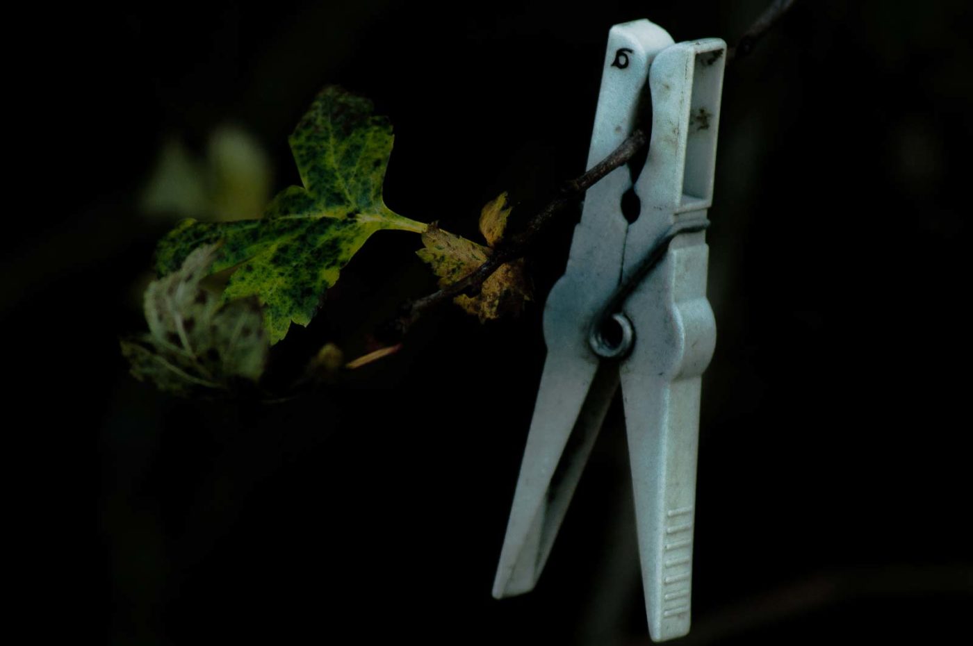 2017-11-22 - Nordsternpark Gelsenkirchen