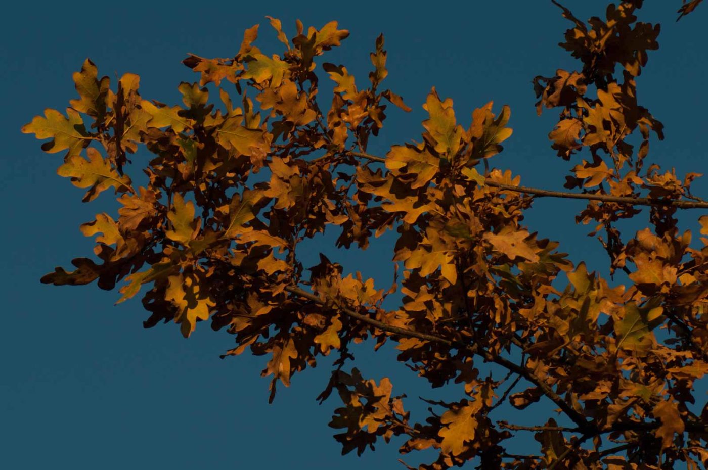 2017-11-22 - Nordsternpark Gelsenkirchen