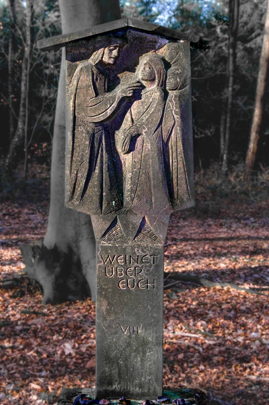 2017-03-15 - NSG Kuhlenvenn Coesfeld