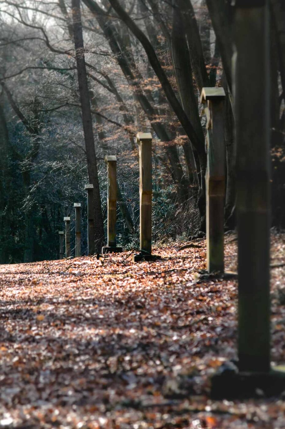 2017-03-15 - NSG Kuhlenvenn Coesfeld