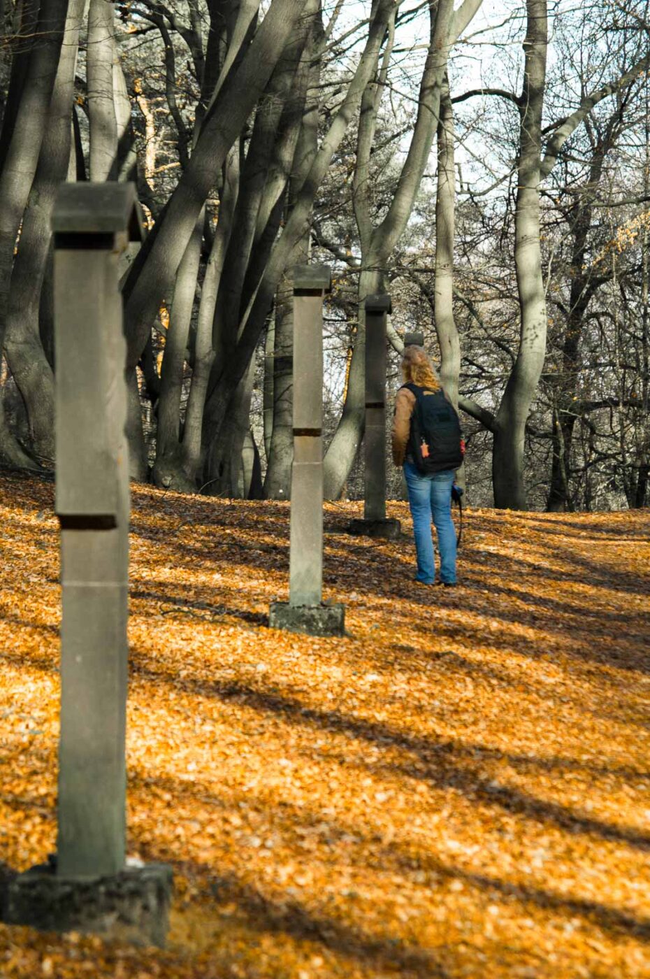 2017-03-15 - NSG Kuhlenvenn Coesfeld