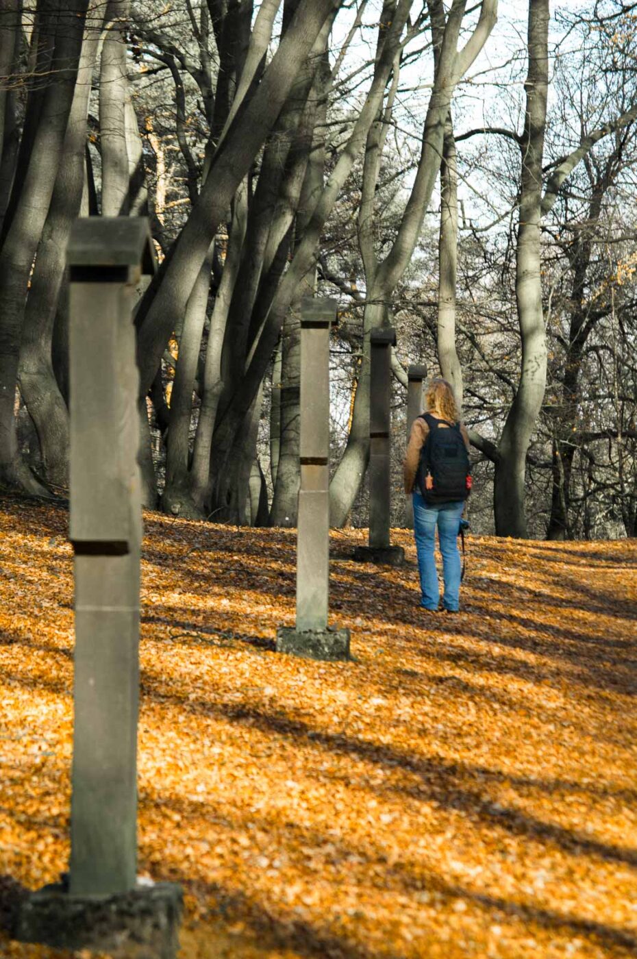 2017-03-15 - NSG Kuhlenvenn Coesfeld