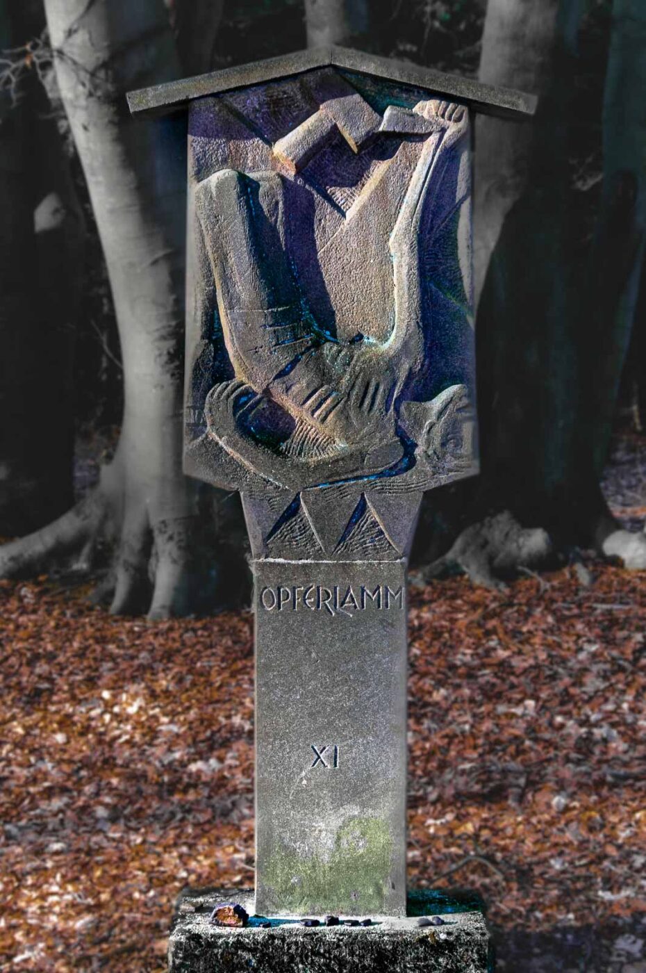 2017-03-15 - NSG Kuhlenvenn Coesfeld