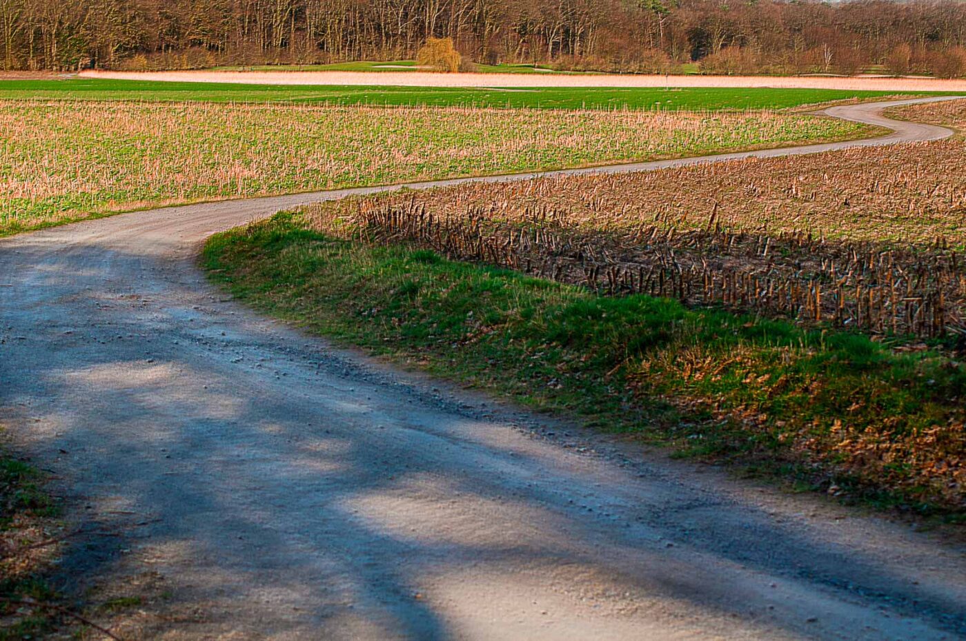 2017-03-15 - NSG Kuhlenvenn Coesfeld