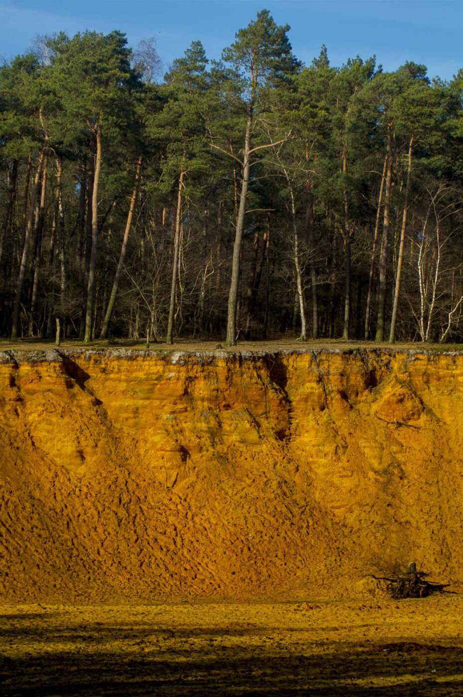 2017-03-15 - NSG Kuhlenvenn Coesfeld