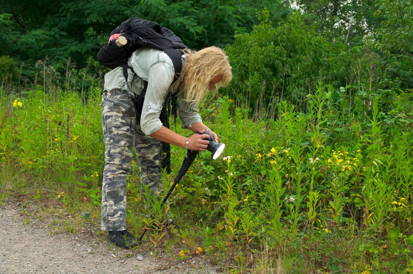 2017-06-25 - NSG Halde Pluto-Wilhelm HER-Wanne